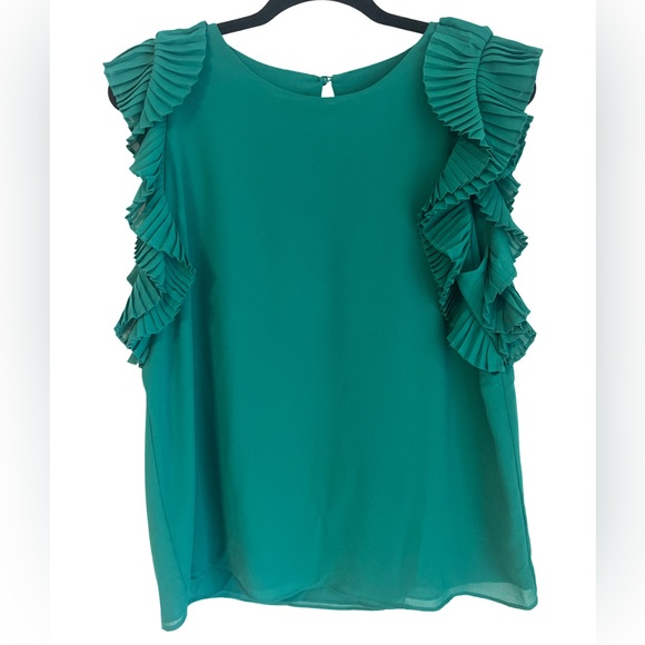 fab'rik Tops - NWT! fab'rik - Naked Zebra Green Ruffled Sleeve Blouse